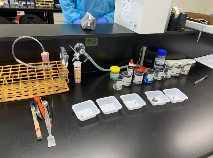 Laboratory and clinical workflow setting